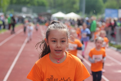 Öhringer Stadtlauf 2019