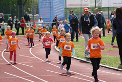 Öhringer Stadtlauf 2019