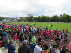 Öhringer Stadtlauf 2019