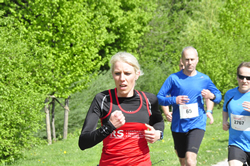 Öhringer Stadtlauf 2019