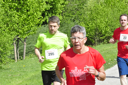 Öhringer Stadtlauf 2019