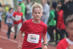 Öhringer Stadtlauf 2019