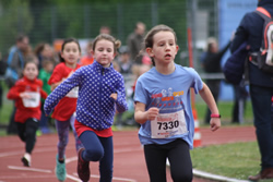 Öhringer Stadtlauf 2019