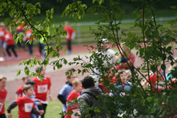 Öhringer Stadtlauf 2019