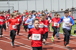 Öhringer Stadtlauf 2019