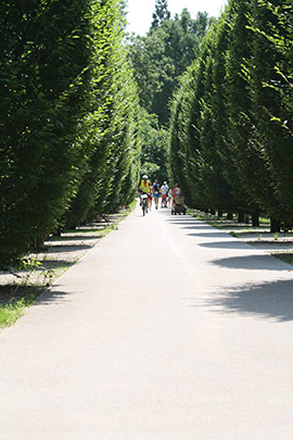 Öhringer Stadtlauf 2021