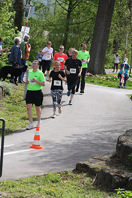 Öhringer Stadtlauf Freizeitlauf 2023