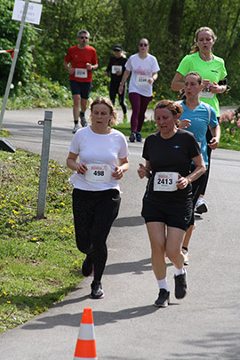 Öhringer Stadtlauf Freizeitlauf 2023