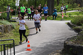 Öhringer Stadtlauf Freizeitlauf 2023