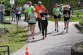 Öhringer Stadtlauf Freizeitlauf 2023