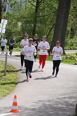 Öhringer Stadtlauf Freizeitlauf 2023