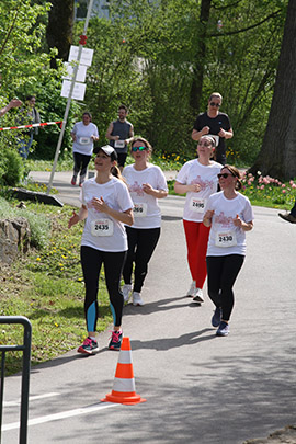 Öhringer Stadtlauf Freizeitlauf 2023