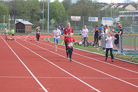 Öhringer Stadtlauf Hauptlauf 2023