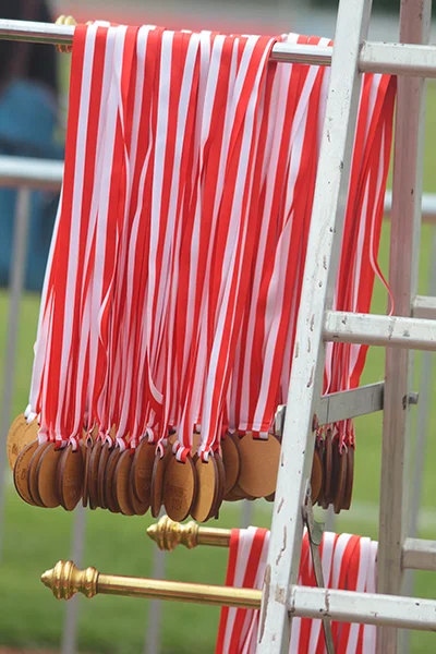 Öhringer Stadtlauf Alle(s) Inklusive Lauf 2024