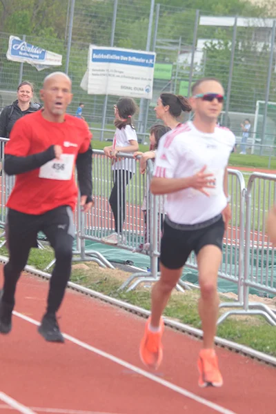 Öhringer Stadtlauf Hauptlauf 2024