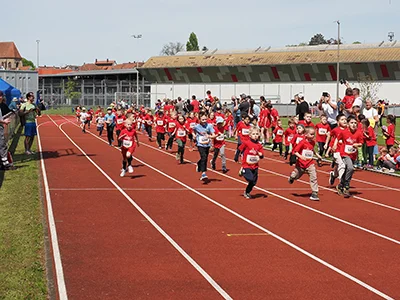 Öhringer Stadtlauf Gemischtes 2025