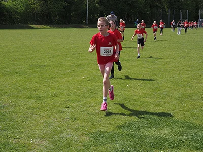 Öhringer Stadtlauf Gemischtes 2025