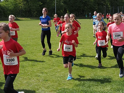 Öhringer Stadtlauf Gemischtes 2025