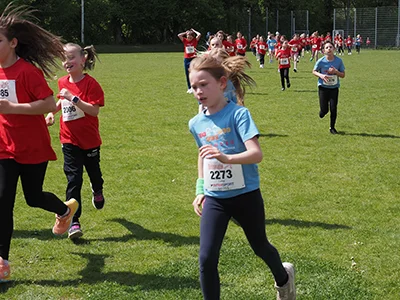 Öhringer Stadtlauf Gemischtes 2025