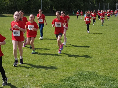 Öhringer Stadtlauf Gemischtes 2025