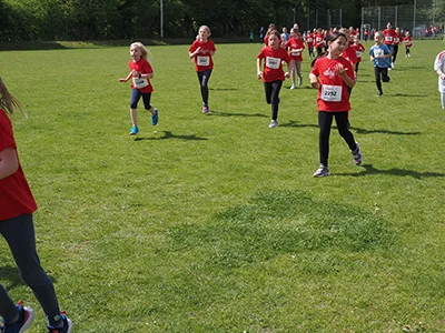 Öhringer Stadtlauf Gemischtes 2025