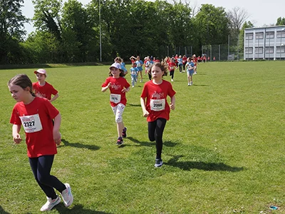 Öhringer Stadtlauf Gemischtes 2025