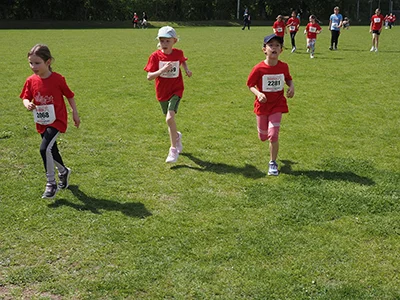 Öhringer Stadtlauf Gemischtes 2025