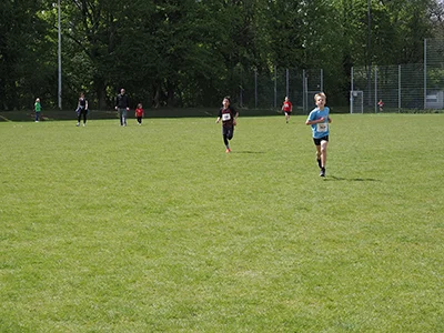 Öhringer Stadtlauf Gemischtes 2025