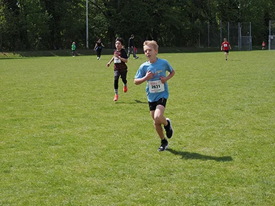 Öhringer Stadtlauf Gemischtes 2025