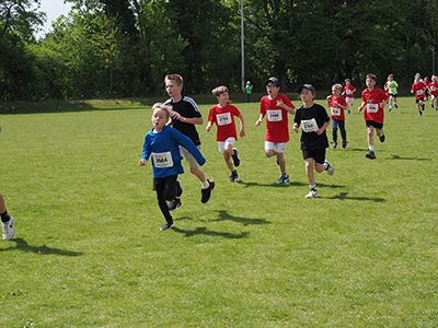 Öhringer Stadtlauf Gemischtes 2025