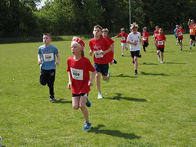 Öhringer Stadtlauf Gemischtes 2025