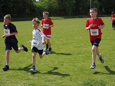Öhringer Stadtlauf Gemischtes 2025