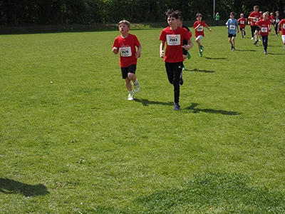 Öhringer Stadtlauf Gemischtes 2025