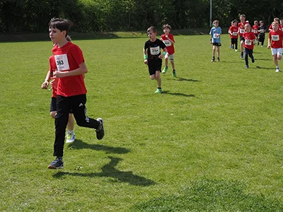 Öhringer Stadtlauf Gemischtes 2025