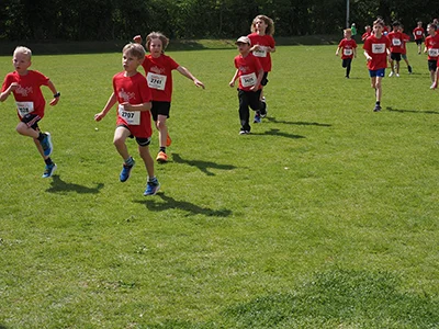 Öhringer Stadtlauf Gemischtes 2025