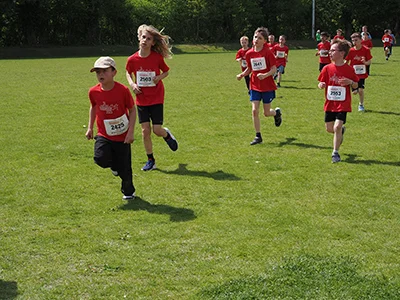 Öhringer Stadtlauf Gemischtes 2025