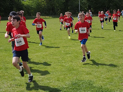 Öhringer Stadtlauf Gemischtes 2025