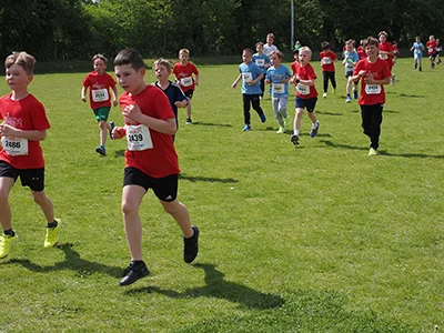 Öhringer Stadtlauf Gemischtes 2025