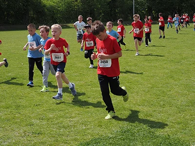 Öhringer Stadtlauf Gemischtes 2025
