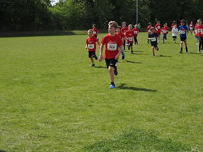 Öhringer Stadtlauf Gemischtes 2025
