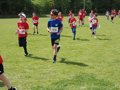 Öhringer Stadtlauf Gemischtes 2025