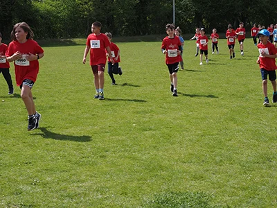 Öhringer Stadtlauf Gemischtes 2025