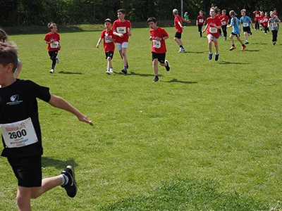 Öhringer Stadtlauf Gemischtes 2025