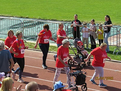 Öhringer Stadtlauf Alle(s) inklusive Lauf 2026