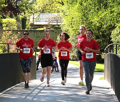 Öhringer Stadtlauf Alle(s) inklusive Lauf 2026