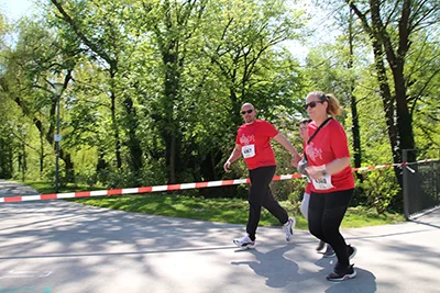 Öhringer Stadtlauf Alle(s) inklusive Lauf 2026