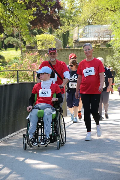 Öhringer Stadtlauf Alle(s) inklusive Lauf 2026