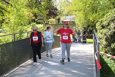 Öhringer Stadtlauf Alle(s) inklusive Lauf 2026