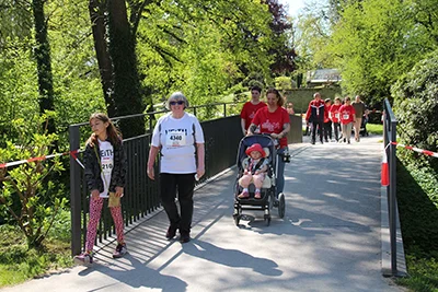 Öhringer Stadtlauf Alle(s) inklusive Lauf 2026
