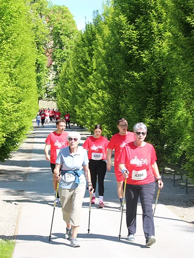 Öhringer Stadtlauf Alle(s) inklusive Lauf 2026